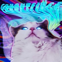 Fruchtflüge (feat. Yung F. Zilla, MaNy & YAVIN17) - Single - Friorité