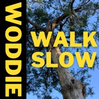 Walk Slow - Single - WODDIE