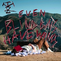 Even Blind Bats Have Wings - tyler serrani