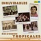 Plegaria - Rodolfo y Su Tipica RA7 lyrics