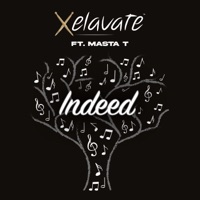 Indeed (feat. Masta T) - Single - Xelavate
