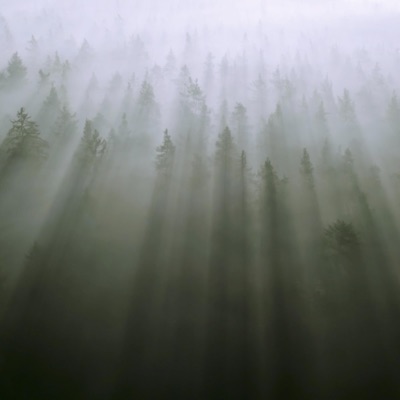 Pretty Things - Single