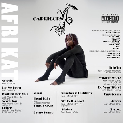 Trip'in (feat. Mood Orin & Moses Stringman) - Single