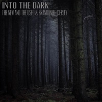 Into the Dark - EP - The New and the Used & BrandonLee Cierley