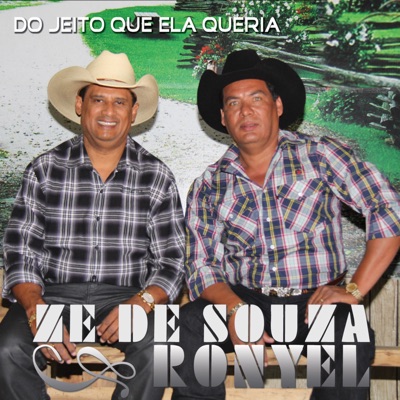 Do Jeito Que Ela Queria