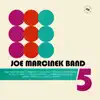 Joe Marcinek Band