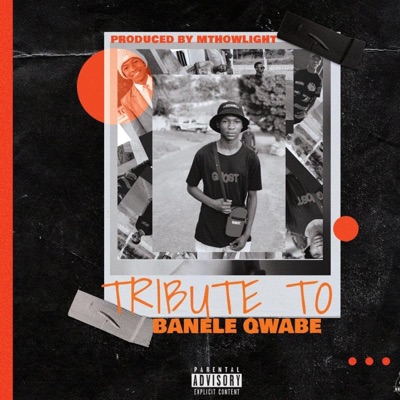 Tribute to Banele Qwabe (feat. Cruzboi, Low-key, Sh3nigami, Phume, Nosipho & Meldow) - Single