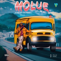 Molue (King of the road) - EP - Sliq.em