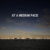 At a Medium Pace - Gray Rice