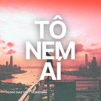 Tô Nem Aí - Single - Pedro Diaz & Scardinni