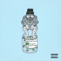 Vocal Anaesthetic - A.Saxon