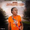 Introspection - Single