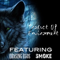Product of Environment - Single - Erasing Egos