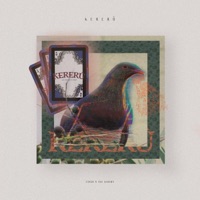 Kererū - Jay Knight