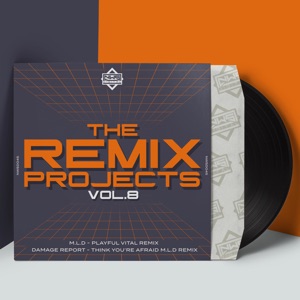 The Remix Projects Vol 8 - Single