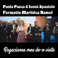 Rugaciunea mea de-o viata (feat. Paula Pasca & Ionut Spaniolu) - Single - Formatia Marinica Namol