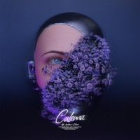 Calema (feat. Hector & Zilwa) - Single - ASH