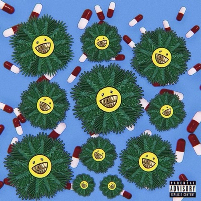 Palm Trees & Fentanyl - EP