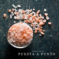 Puesta a Punto - Single - Faruz Feet