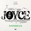 Joyce Moreno & Mauricio Maestro - Mistérios