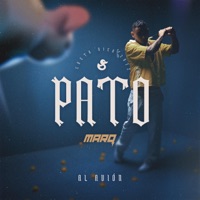 Pato - Single - Dani Maro