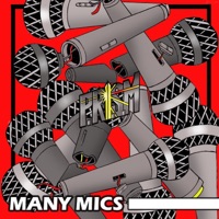 Many Mics - Single - P.Ri.S.M