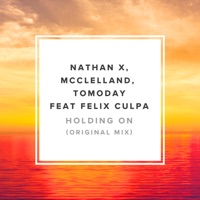 Holding On (feat Felix Culpa) (Sol Brothers  & Special Tee Radio Edit)