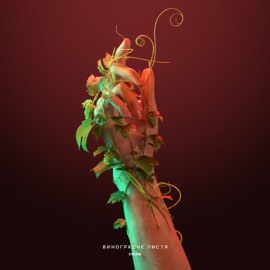 Виноградне листя Схожа