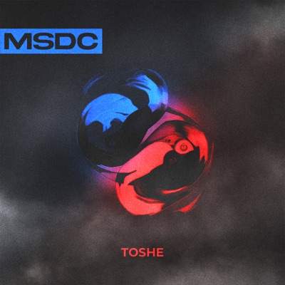 Msdc - Single