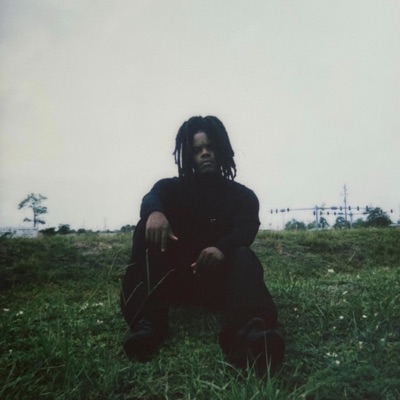 The Comedown - Single