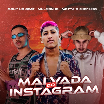 Malvada do Instagram (feat. Motta O Chefinho) - Single