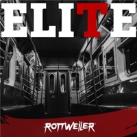 Elite - Single - Rottweiler