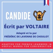 Improve Your French by Reading: Candide: Adapted for French Learners in Useful French Words for Conversation (Unabridged) - Frederic de Lavenne de Choulot