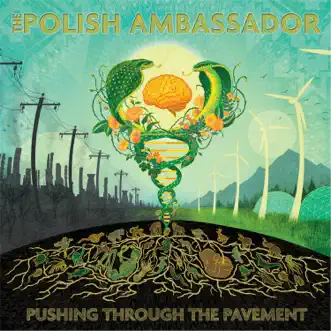 Pushing Through the Pavement by The Polish Ambassador album reviews, ratings, credits