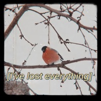 I'veLostEverything - Single - k.v