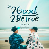 2 Good 2 Be True artwork