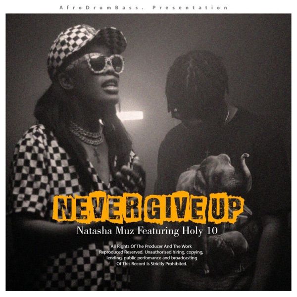 Never Give Up (feat. Holy Ten) - Single