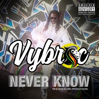 Never Know - Single
