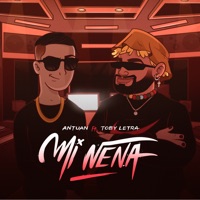Mi Nena (feat. Toby Letra) - Single - Antuan