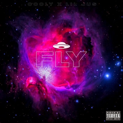 Fly - Single