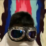 Trip ICEE