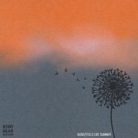 Dusk / Feels Like Summer - Single - Nick Wolf