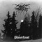 Triumphant Gleam - Darkthrone lyrics