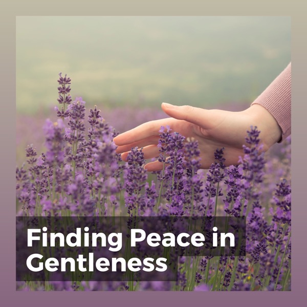 Finding Peace in Gentleness