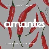 Amantes (Miggedy's Full Vocal Remix) [feat. Gabriela Pe] - Single - DJ Disciple