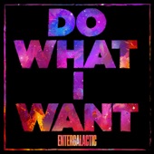 Do What I Want artwork