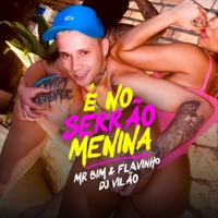 É no Serrão Menina - Single - DJ Vilão, Mc Mr. Bim & MC Flavinho