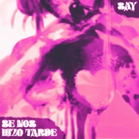 Se Nos Hizo Tarde - Single - Say