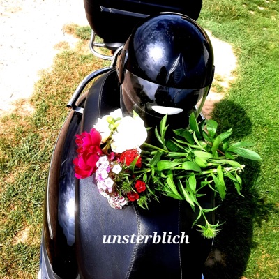 unsterblich (feat. iamluisch) - Single