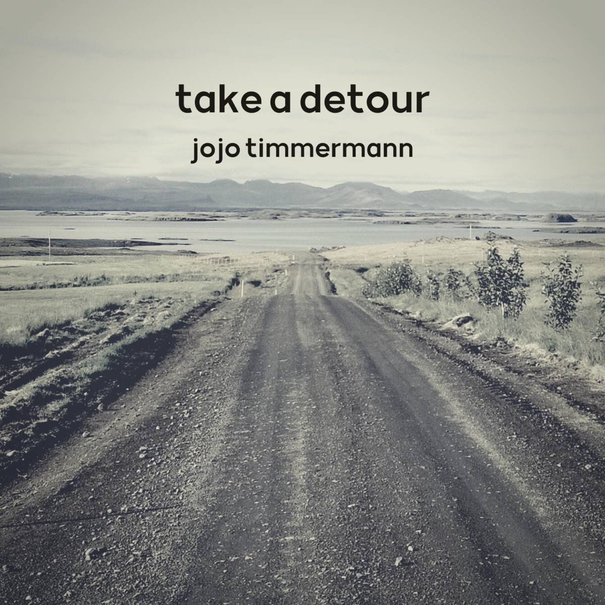 Take a Detour - Single by Jojo Timmermann on Apple Music